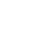 True Sound's logo